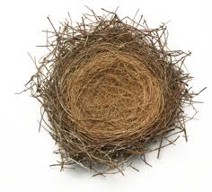 empty nest