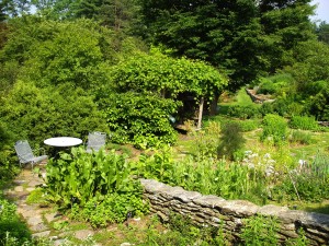 herb garden