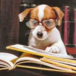 dog readingbook